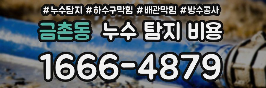 금촌동 누수 탐지 비용