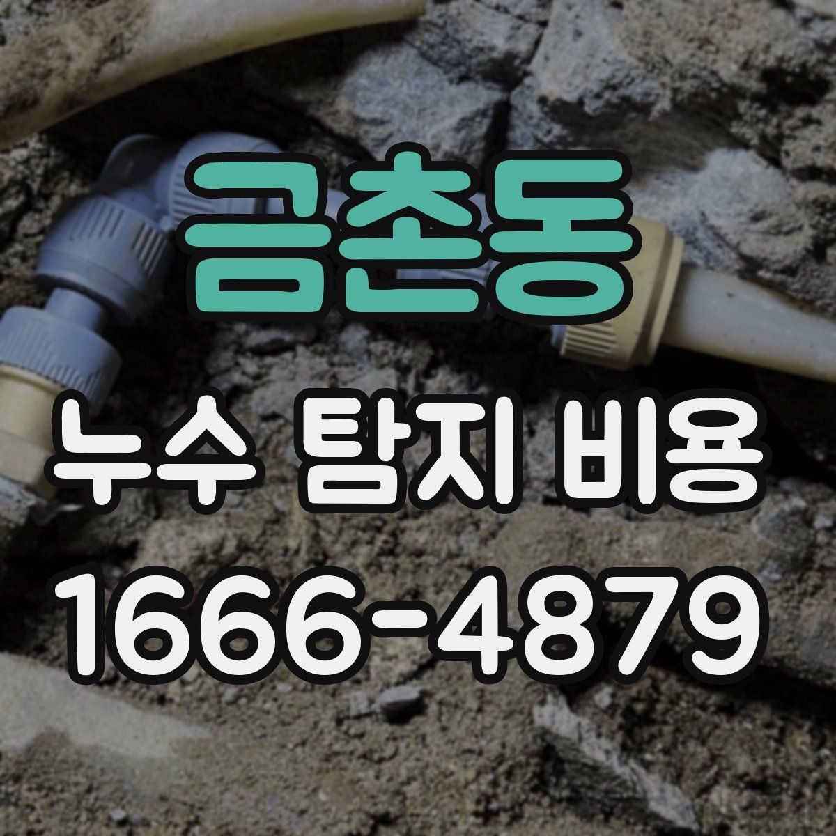 금촌동 누수 탐지 비용