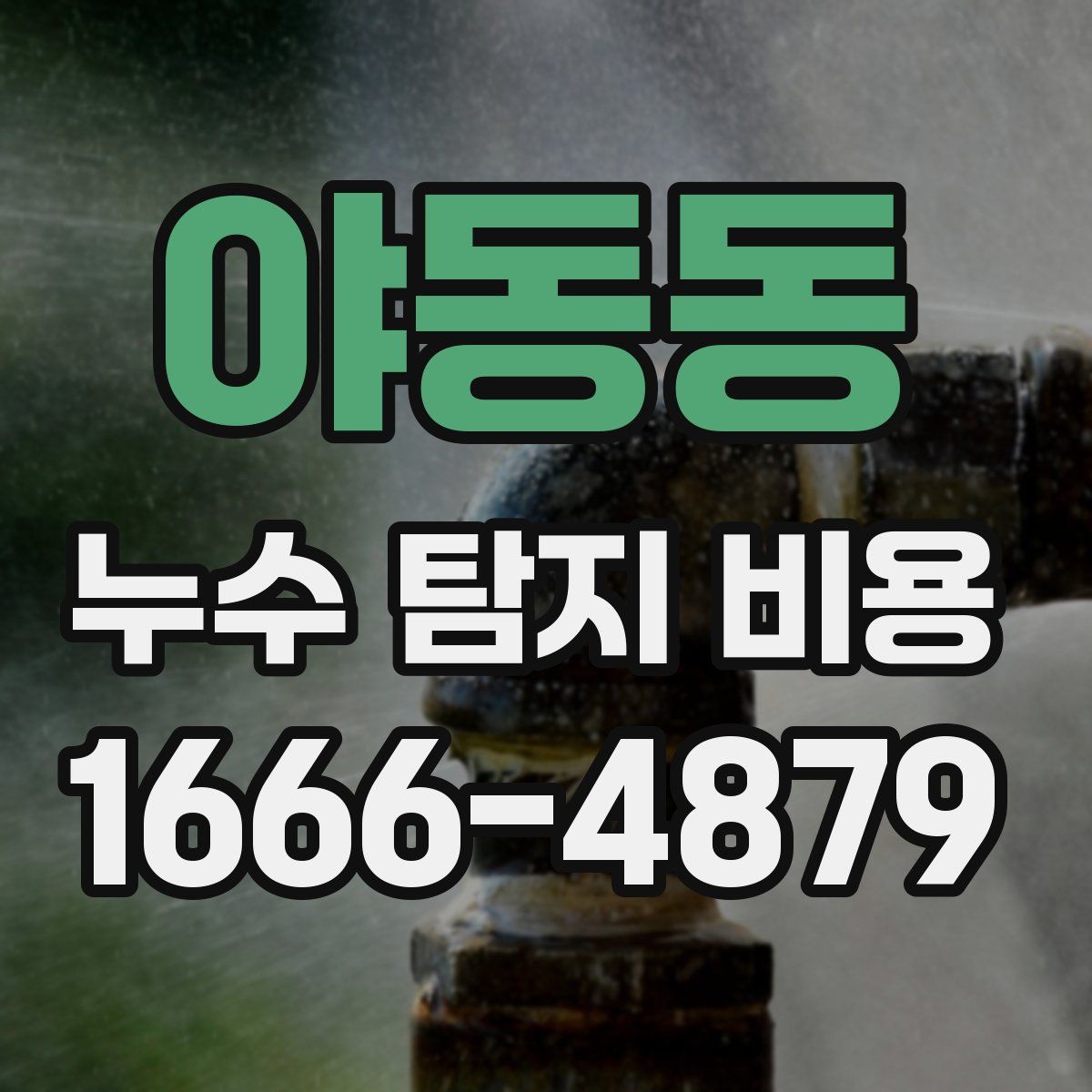 야동동 누수 탐지 비용