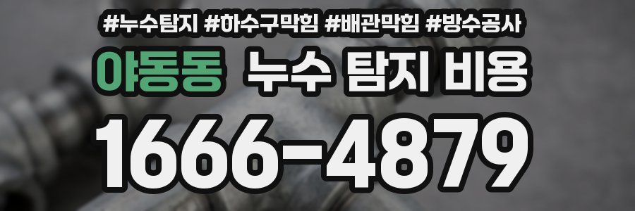 야동동 누수 탐지 비용