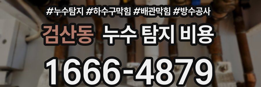 검산동 누수 탐지 비용