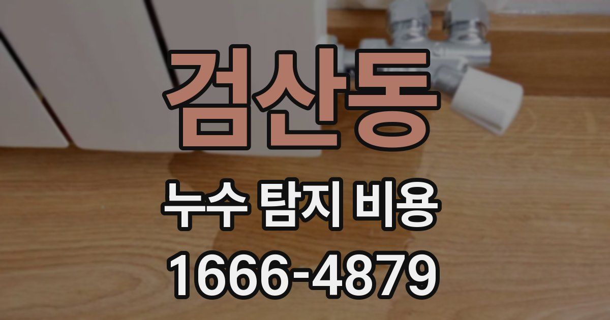 검산동 누수 탐지 비용