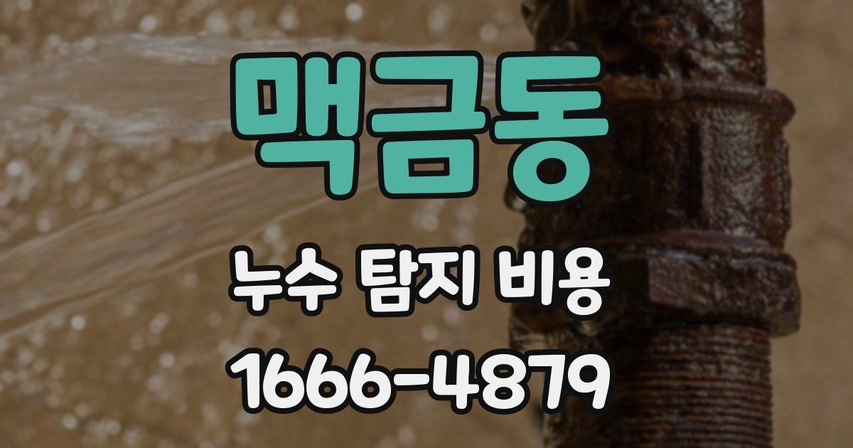 맥금동 누수 탐지 비용