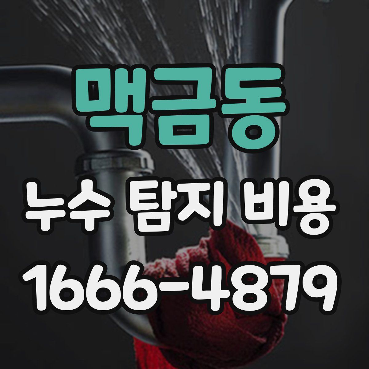 맥금동 누수 탐지 비용
