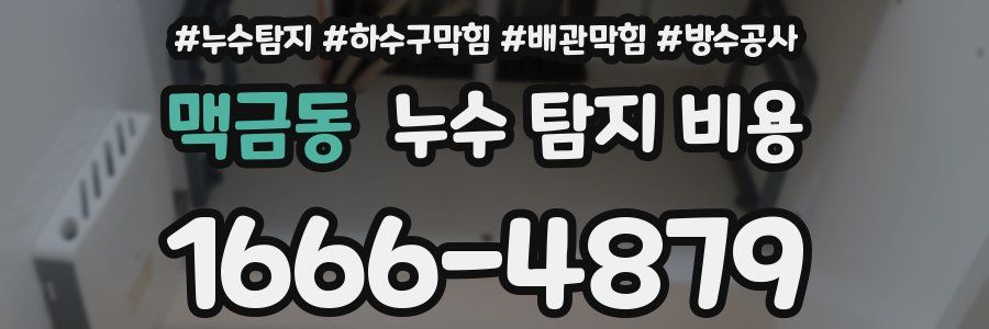 맥금동 누수 탐지 비용