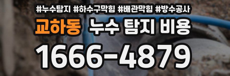 교하동 누수 탐지 비용