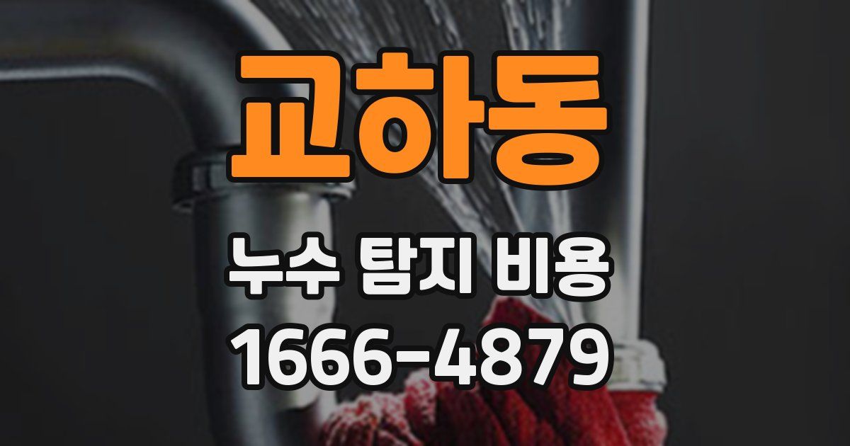 교하동 누수 탐지 비용