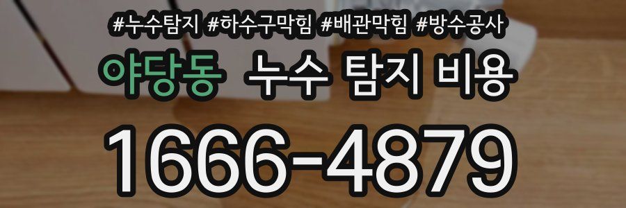 야당동 누수 탐지 비용