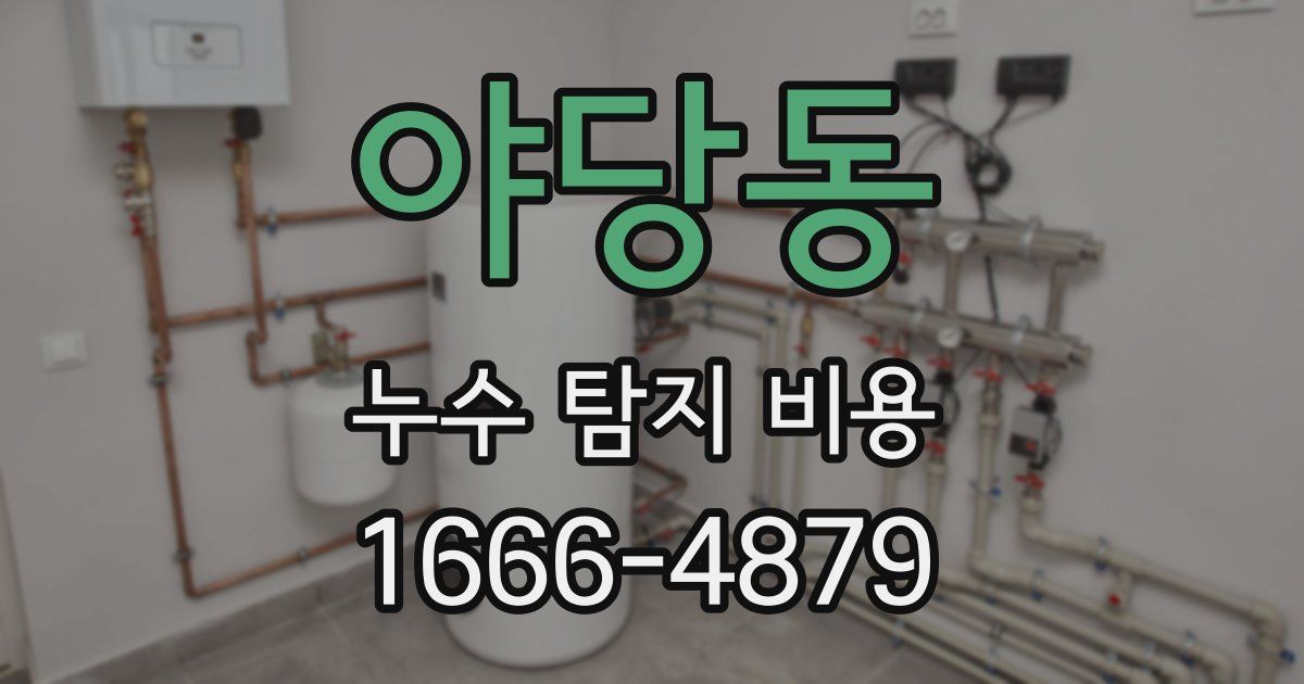 야당동 누수 탐지 비용