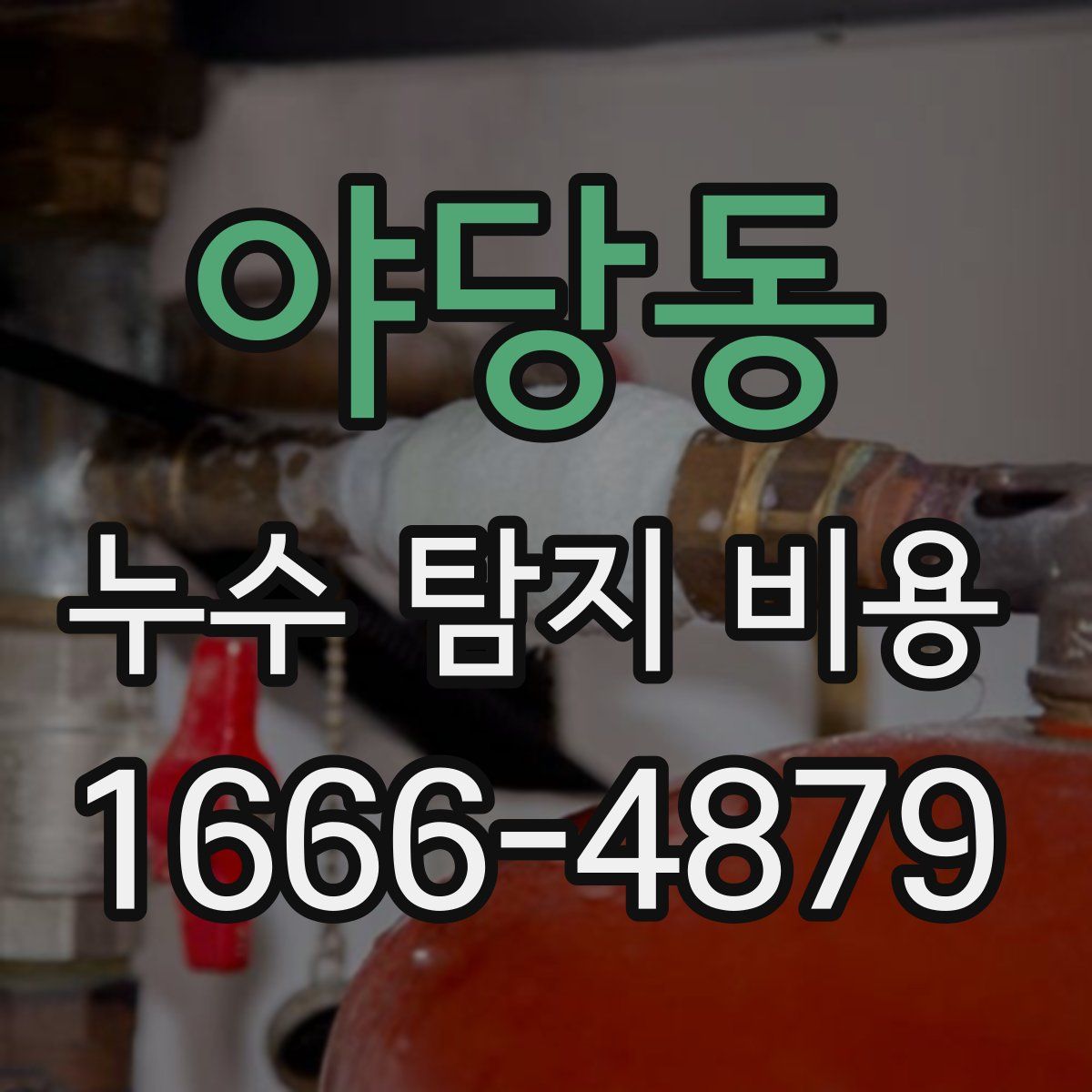 야당동 누수 탐지 비용