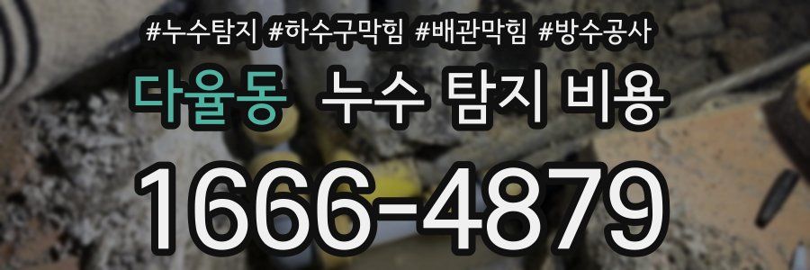 다율동 누수 탐지 비용