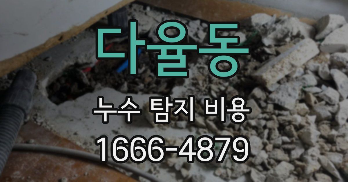 다율동 누수 탐지 비용