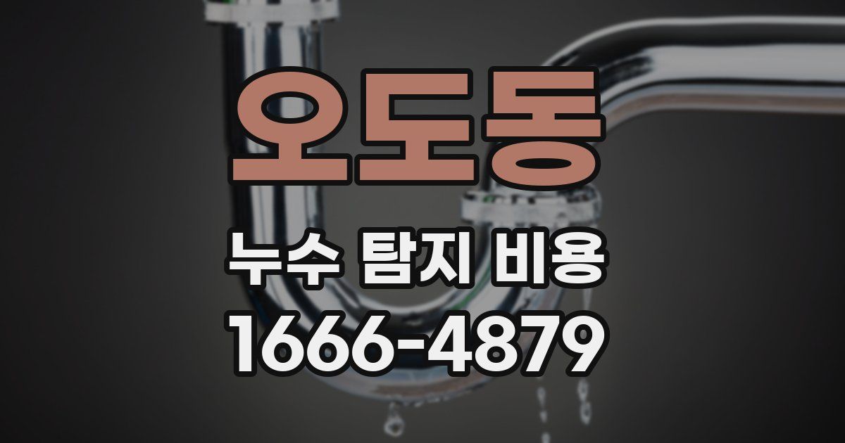오도동 누수 탐지 비용