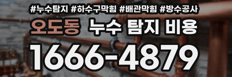 오도동 누수 탐지 비용