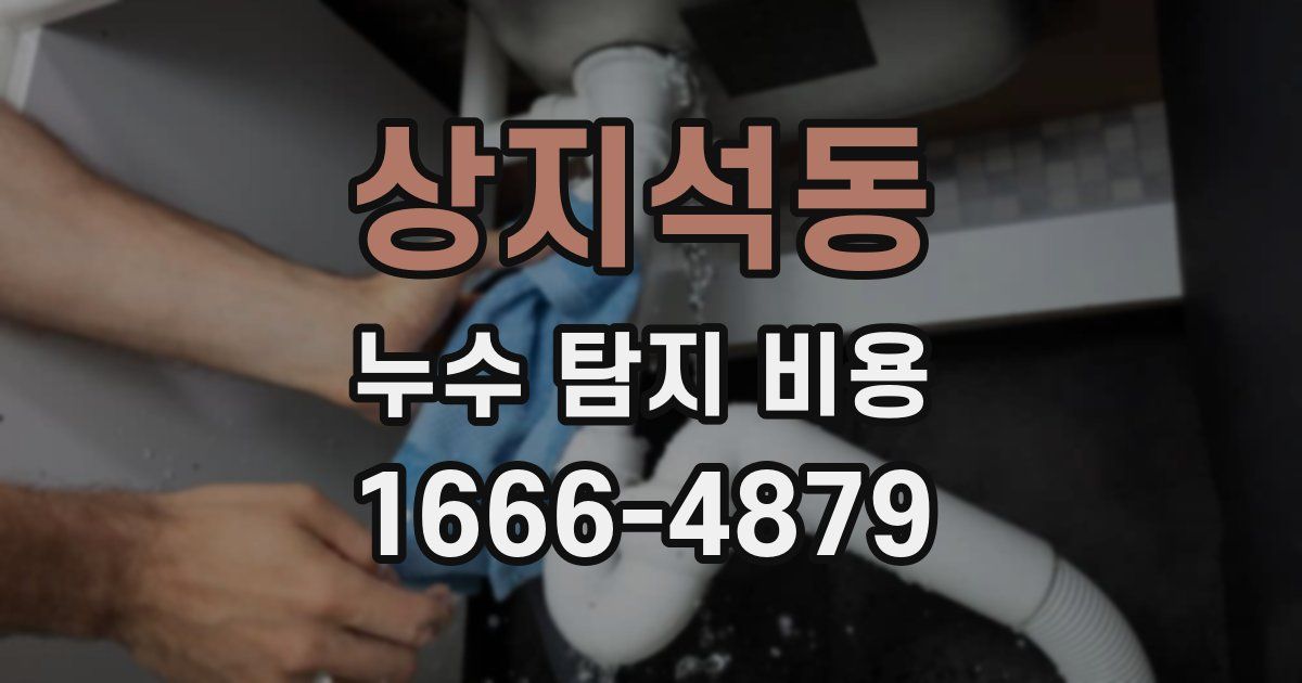 상지석동 누수 탐지 비용