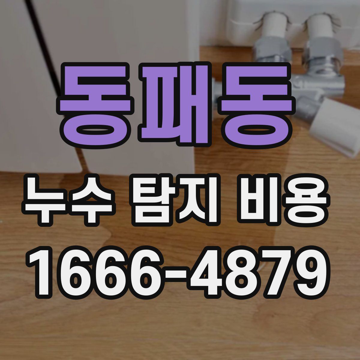 동패동 누수 탐지 비용