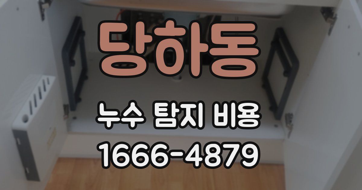 당하동 누수 탐지 비용