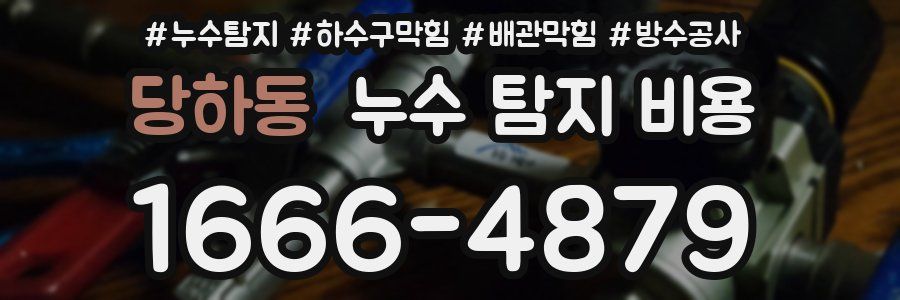 당하동 누수 탐지 비용