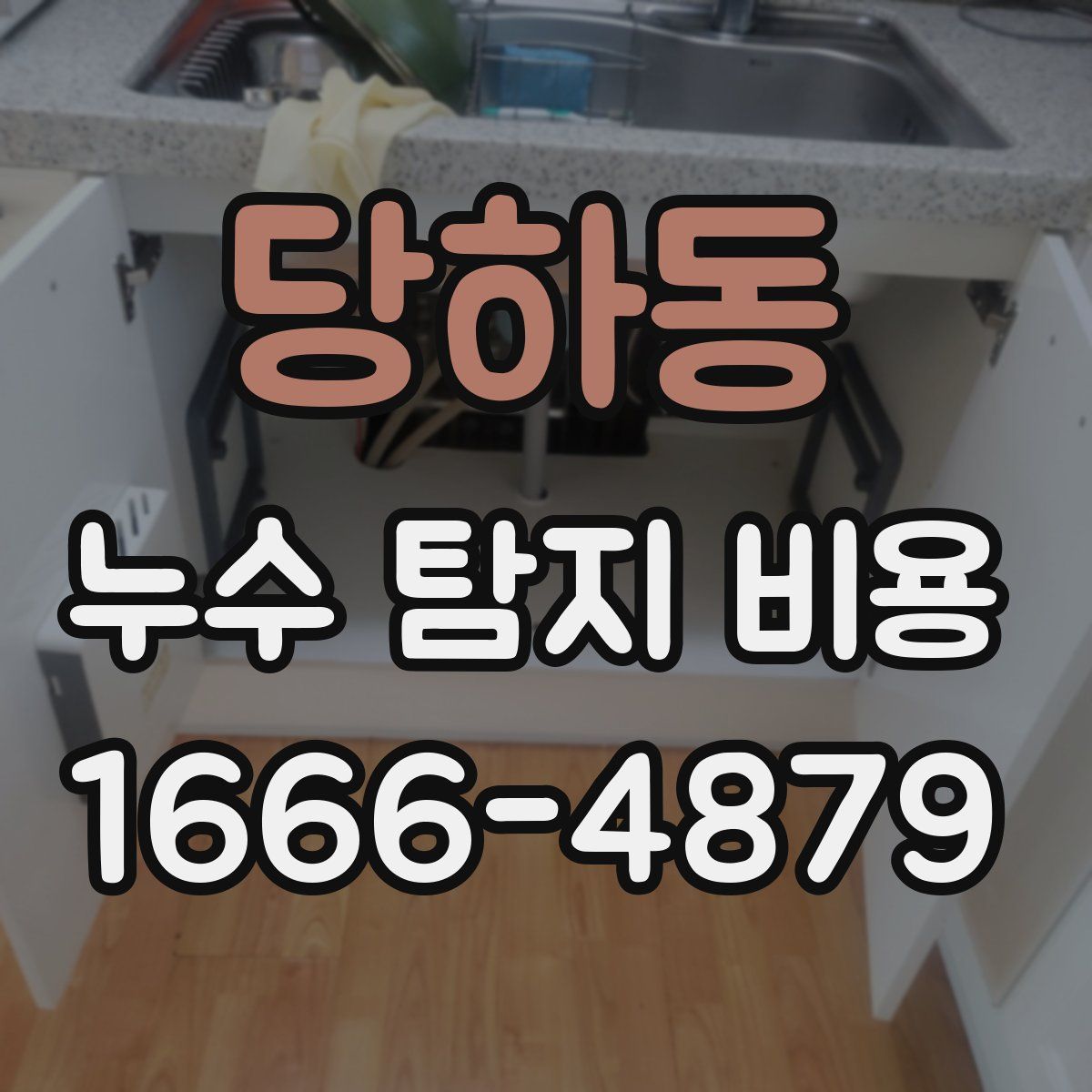 당하동 누수 탐지 비용