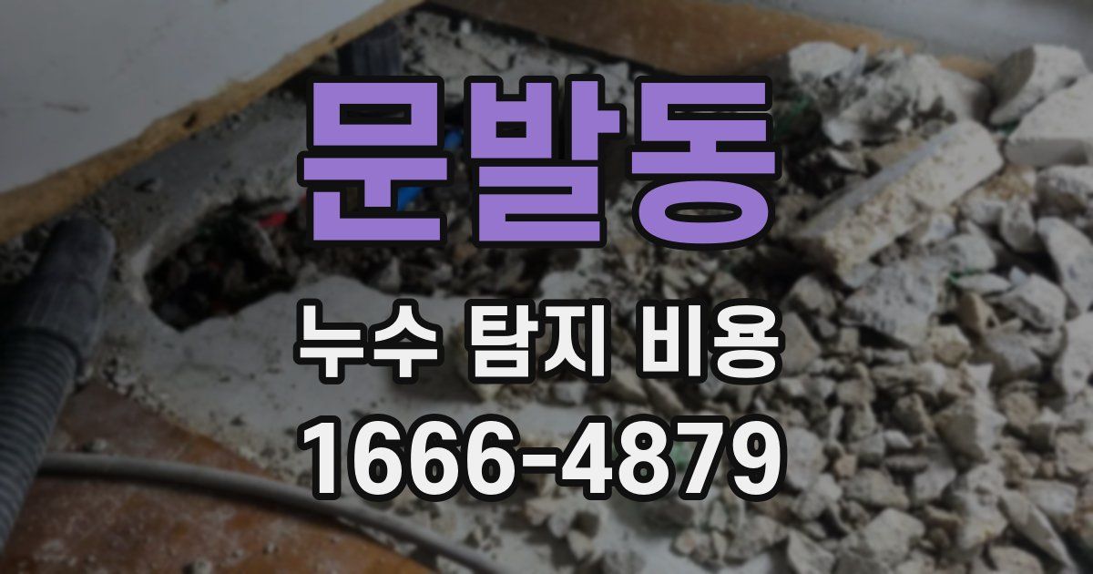 문발동 누수 탐지 비용