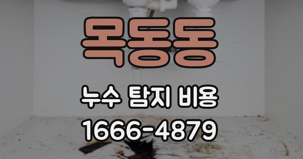 목동동 누수 탐지 비용