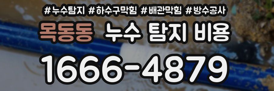 목동동 누수 탐지 비용