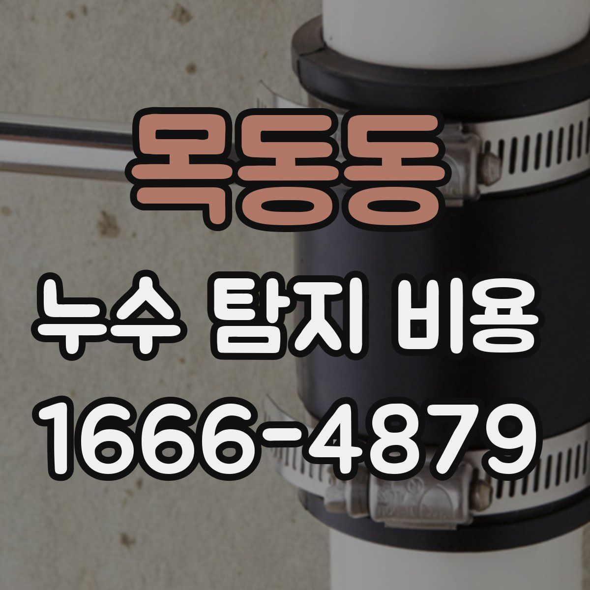 목동동 누수 탐지 비용