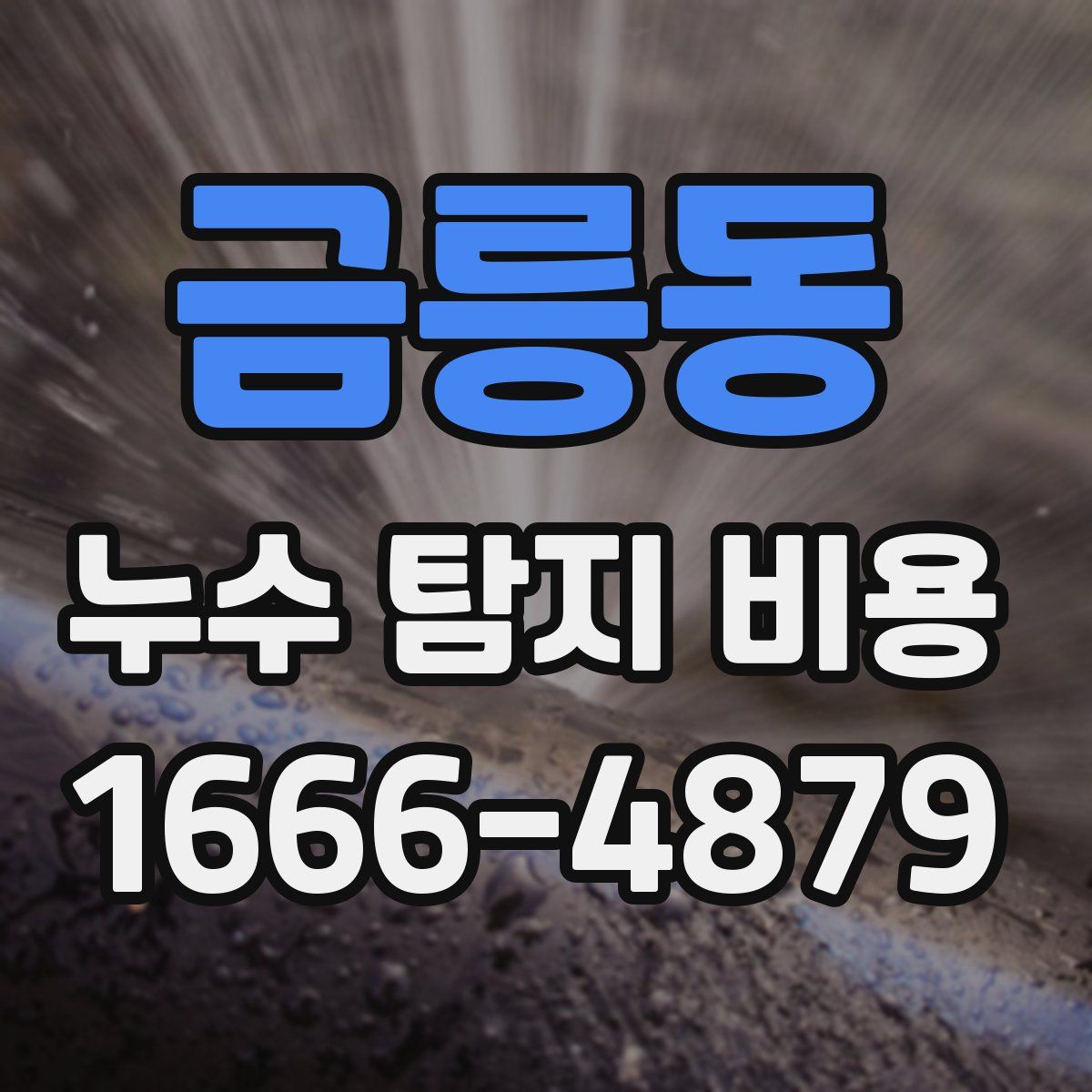 금릉동 누수 탐지 비용