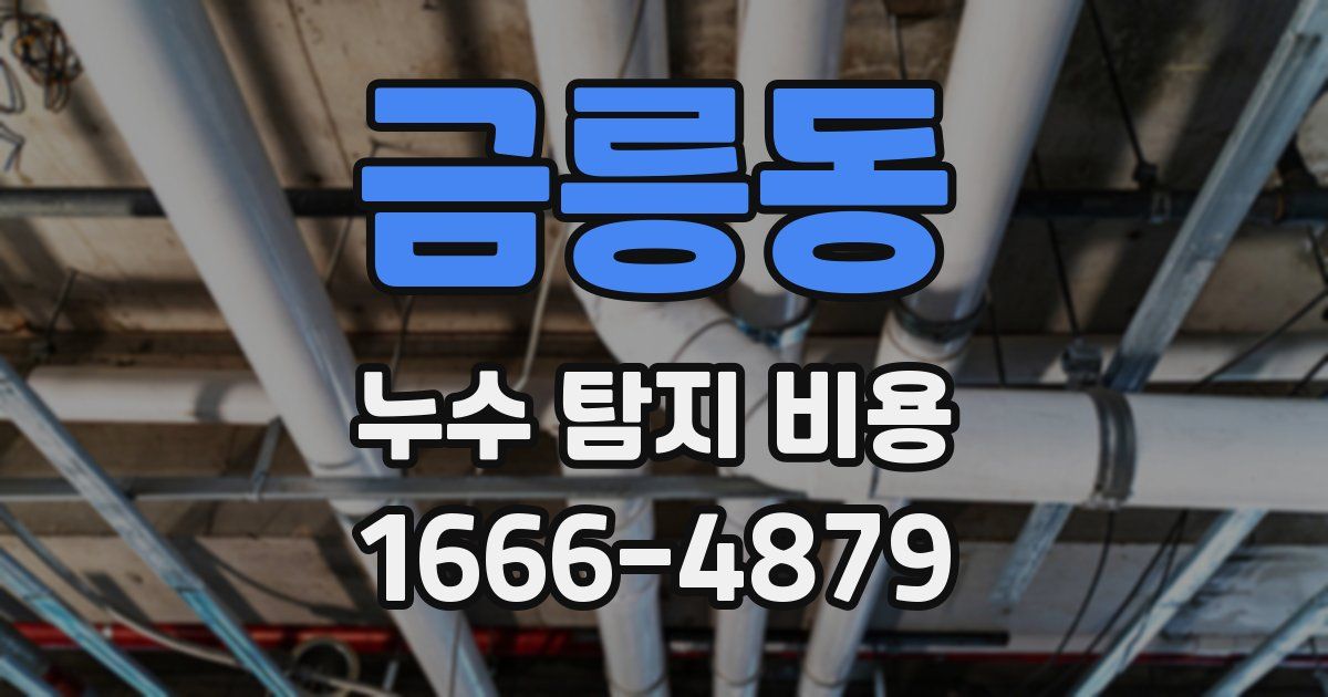 금릉동 누수 탐지 비용