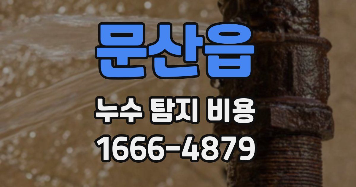 문산읍 누수 탐지 비용