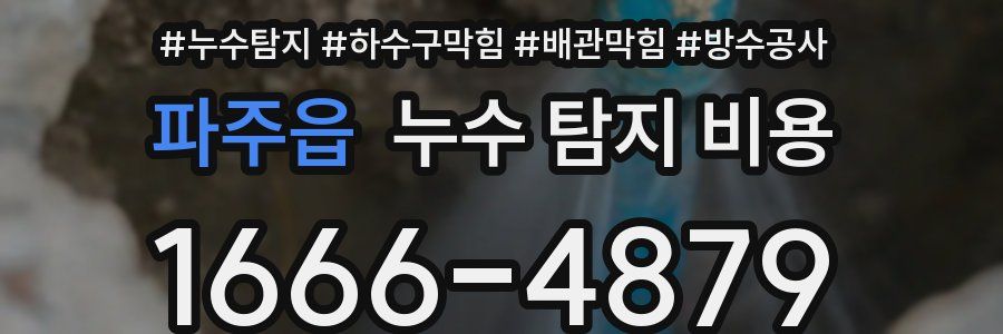 파주읍 누수 탐지 비용