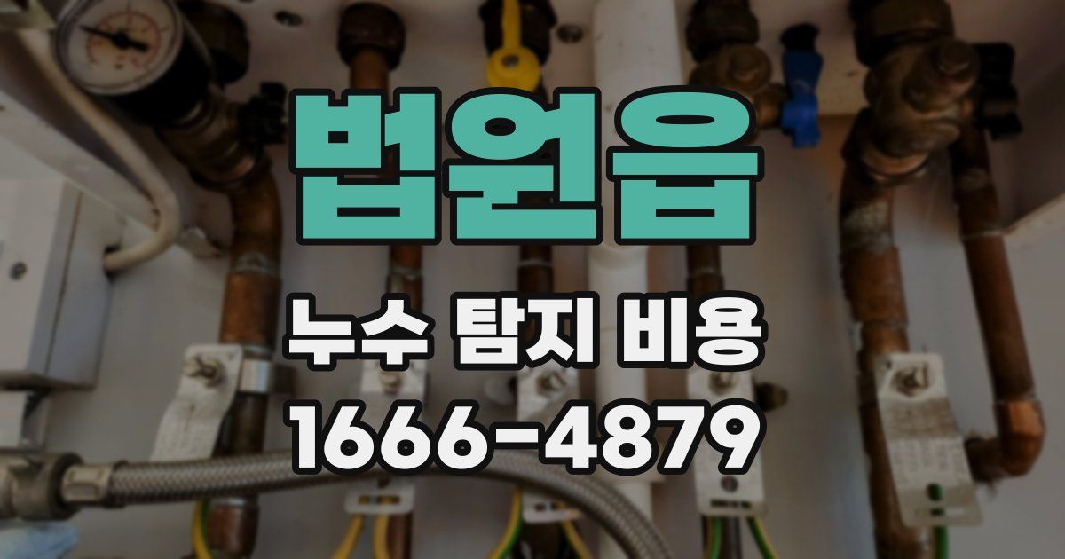 법원읍 누수 탐지 비용