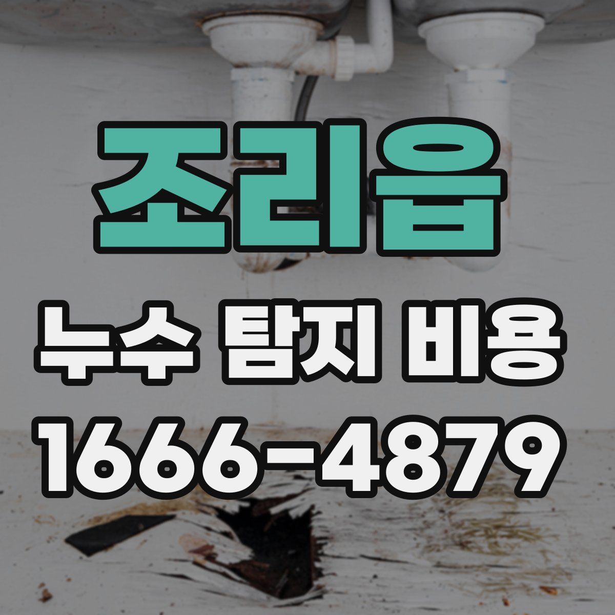 조리읍 누수 탐지 비용