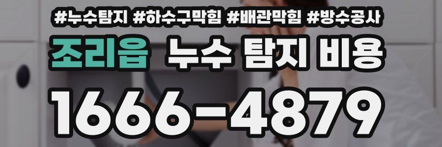 조리읍 누수 탐지 비용