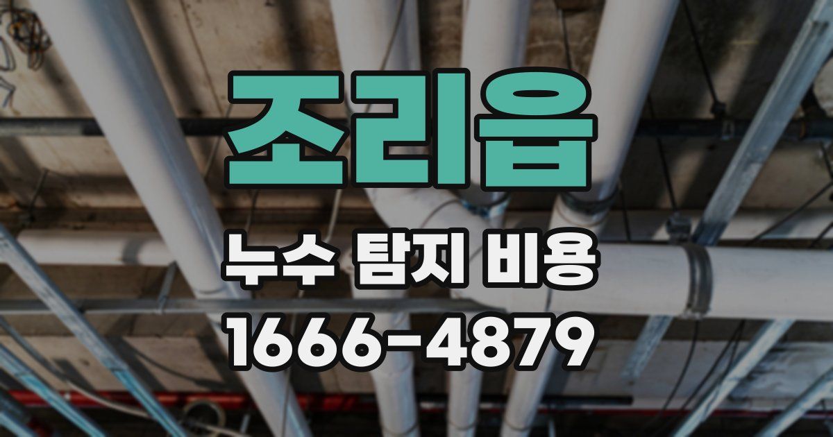 조리읍 누수 탐지 비용