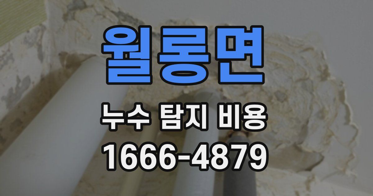 월롱면 누수 탐지 비용