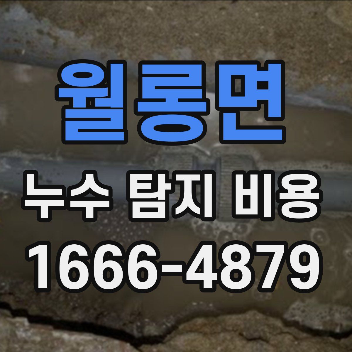 월롱면 누수 탐지 비용