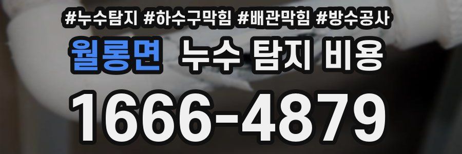 월롱면 누수 탐지 비용