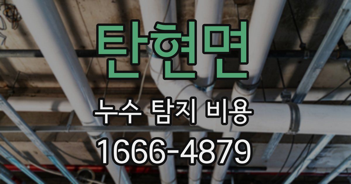 탄현면 누수 탐지 비용