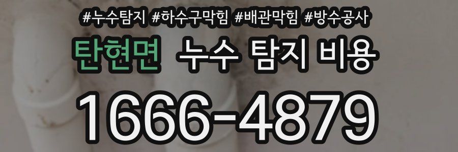 탄현면 누수 탐지 비용