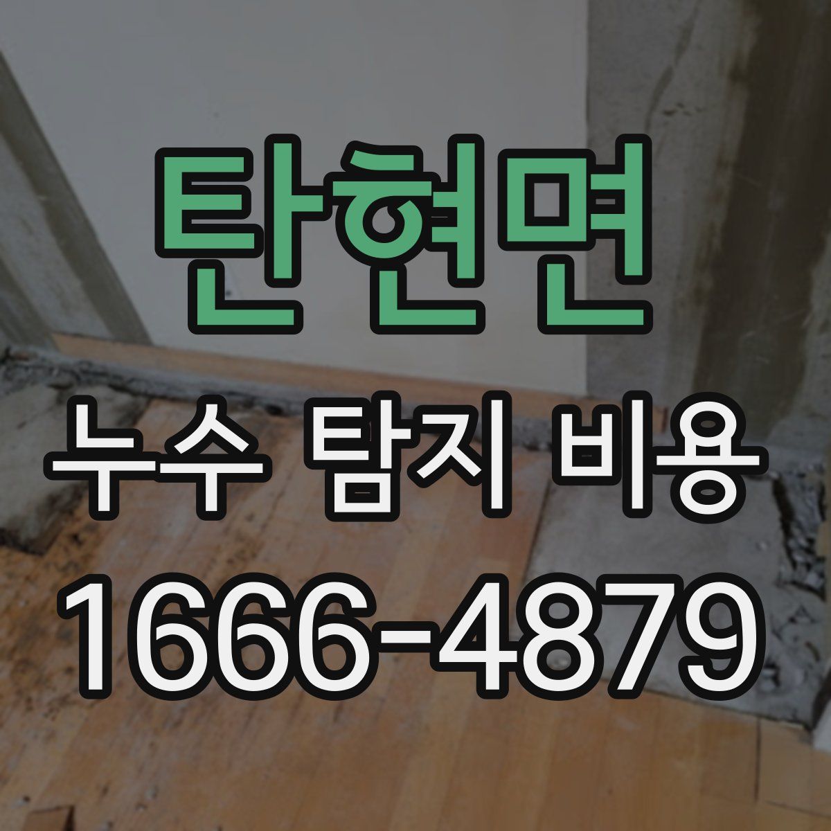 탄현면 누수 탐지 비용