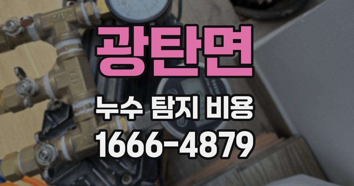 광탄면 누수 탐지 비용