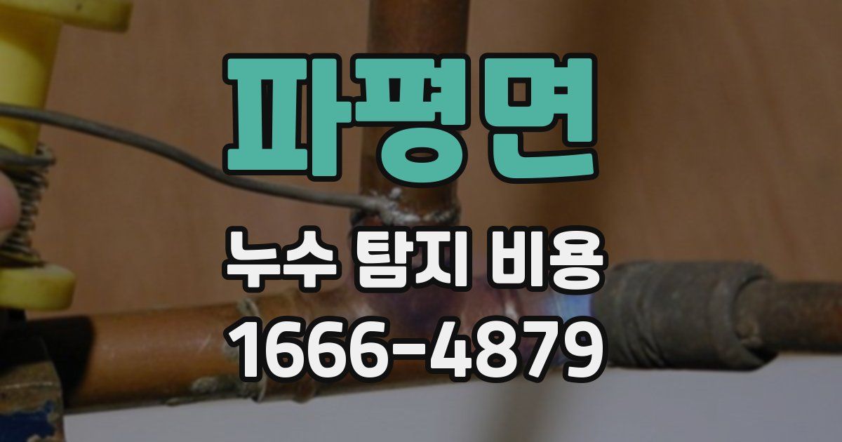 파평면 누수 탐지 비용