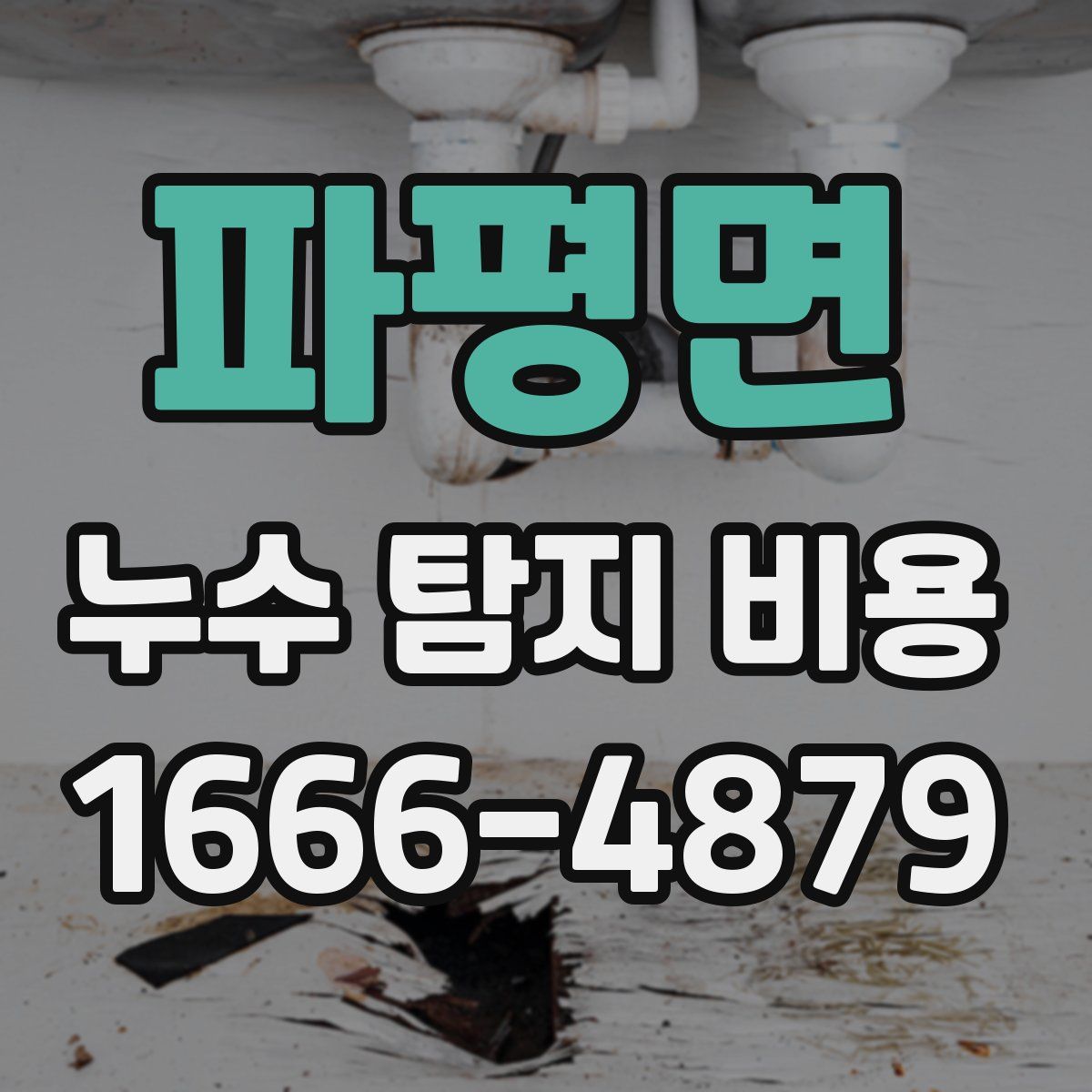 파평면 누수 탐지 비용
