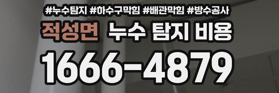 적성면 누수 탐지 비용