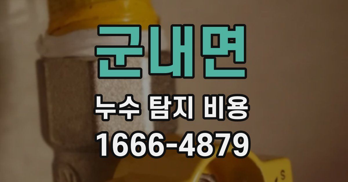 군내면 누수 탐지 비용