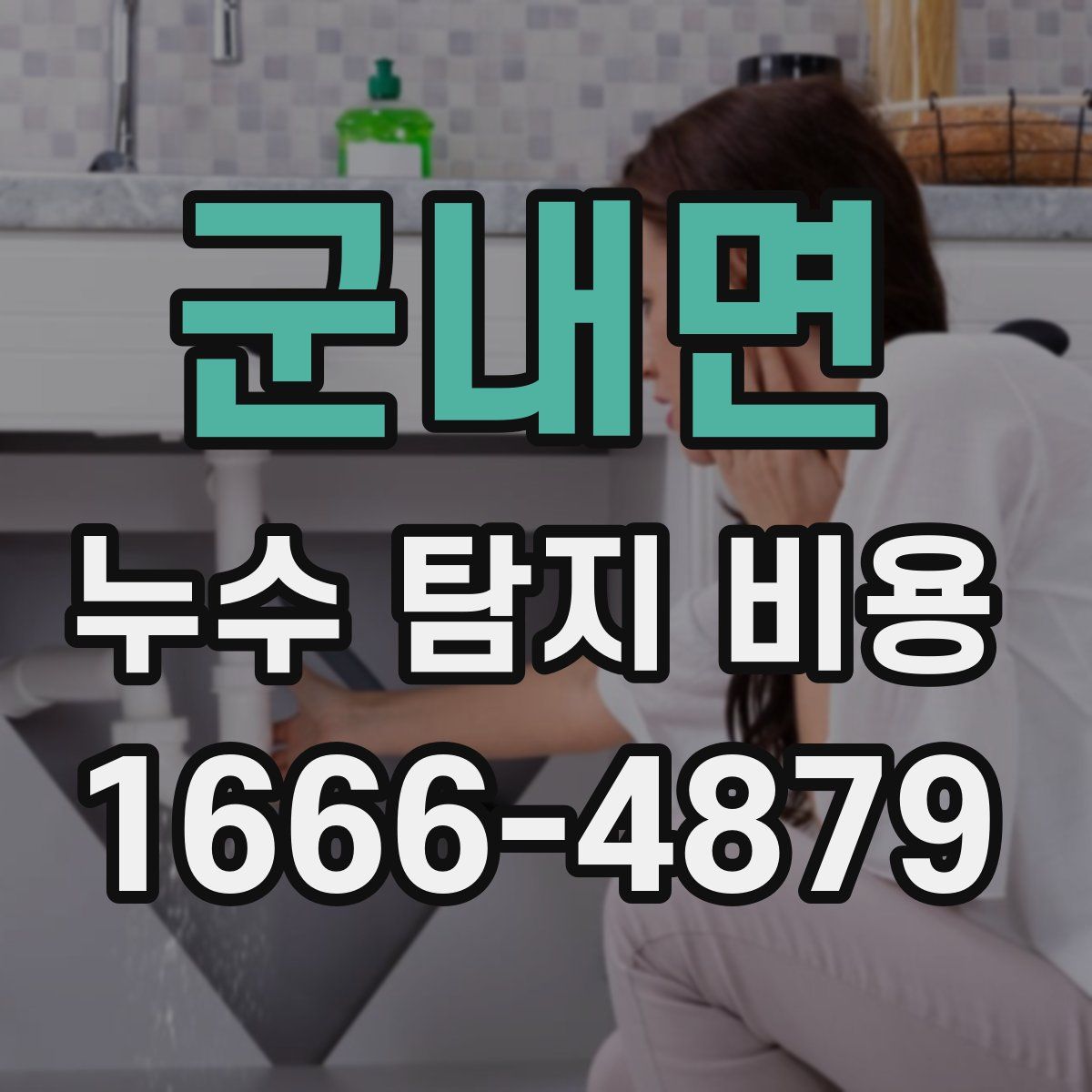 군내면 누수 탐지 비용