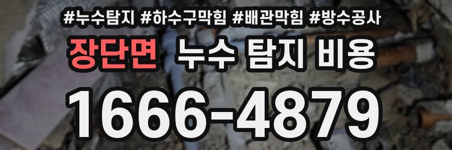 장단면 누수 탐지 비용