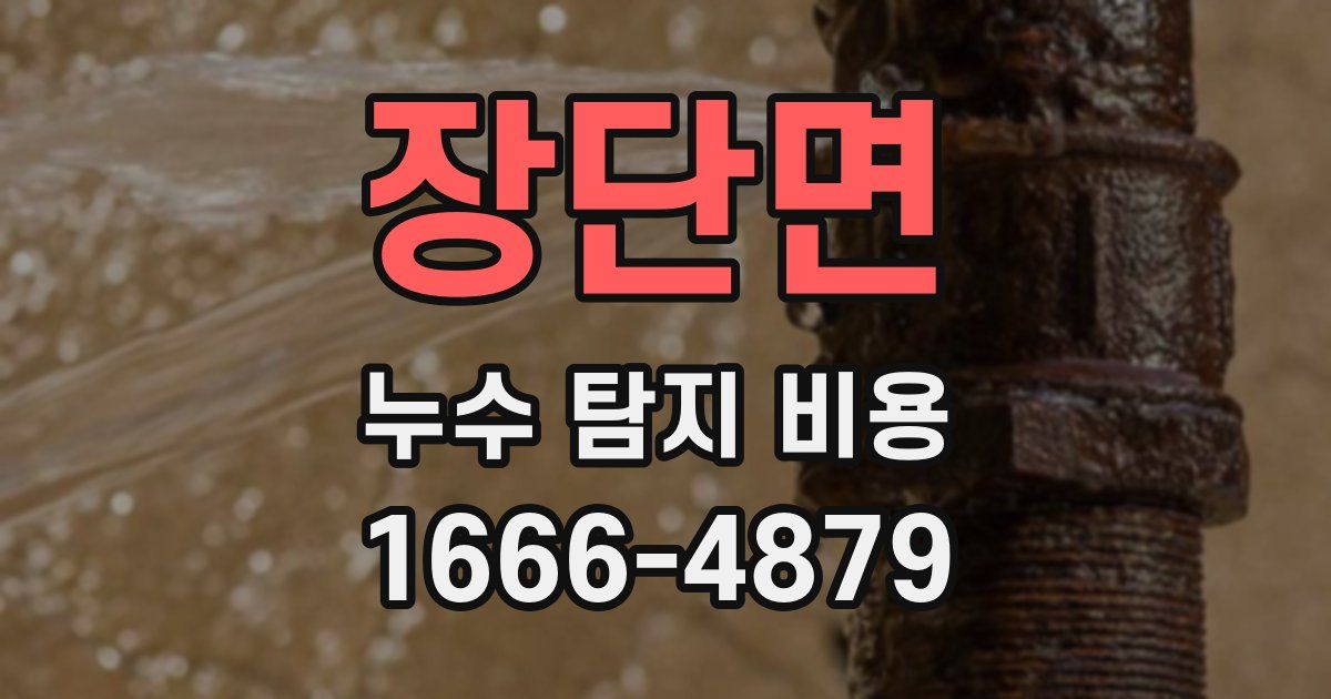 장단면 누수 탐지 비용