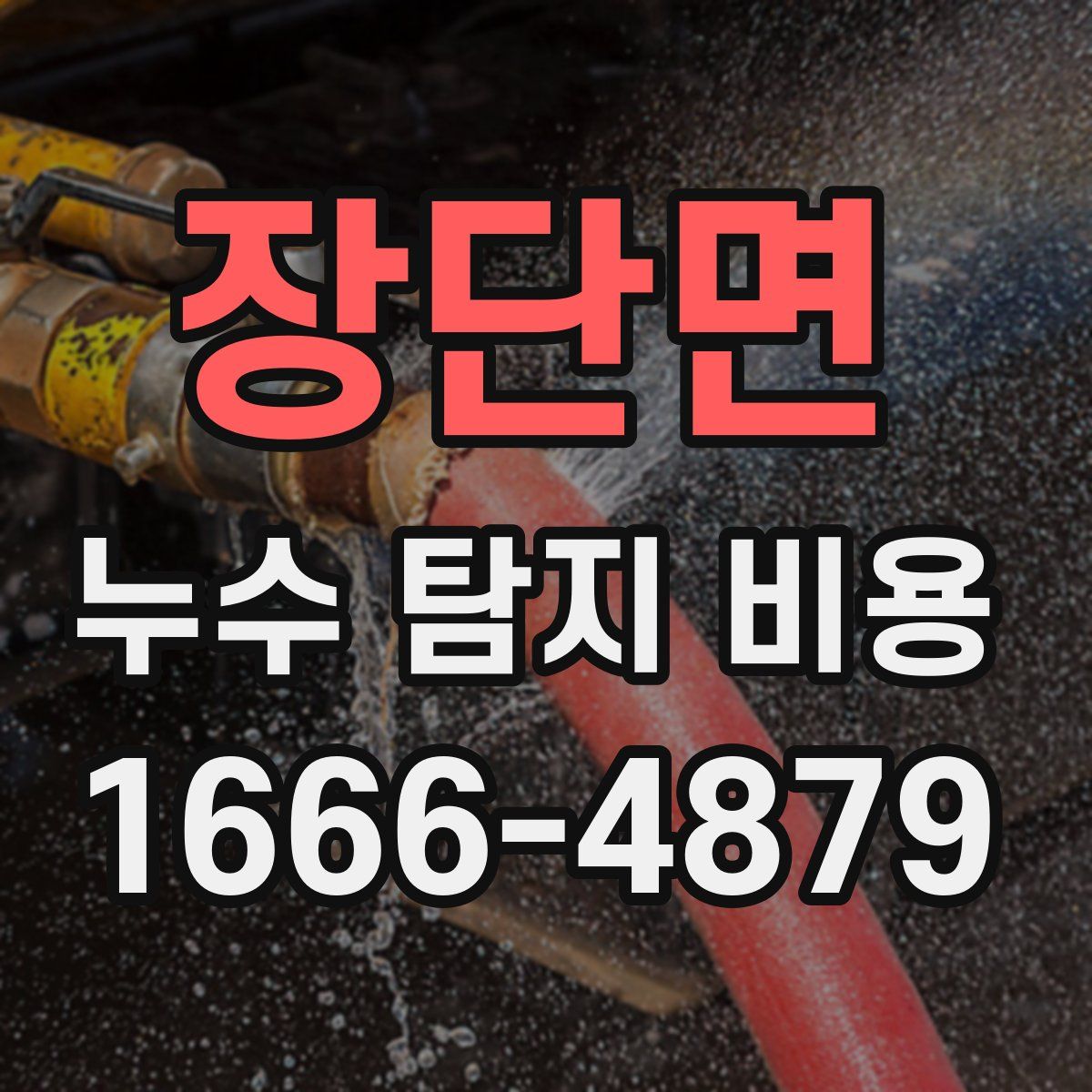 장단면 누수 탐지 비용